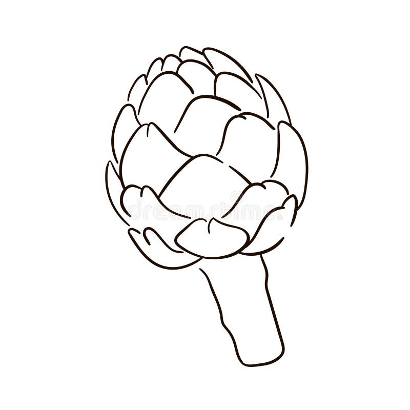 Artichoke Line Art Isolated on White Background. Vector Artichoke Line