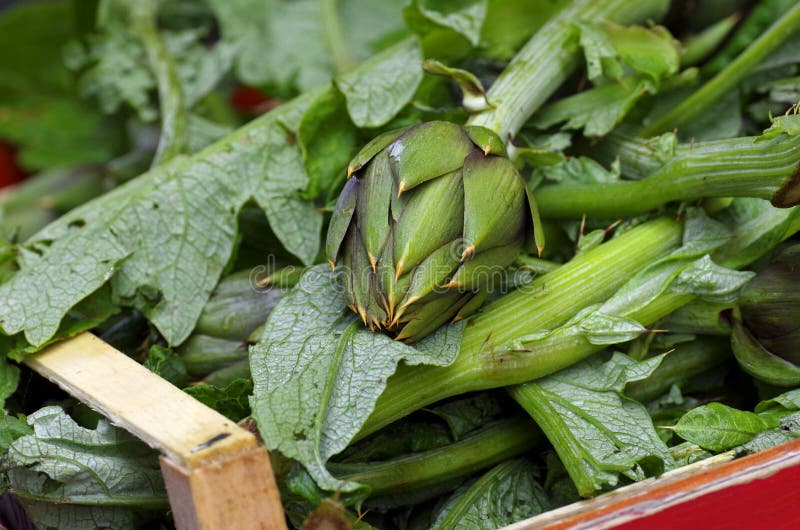 Artichokes