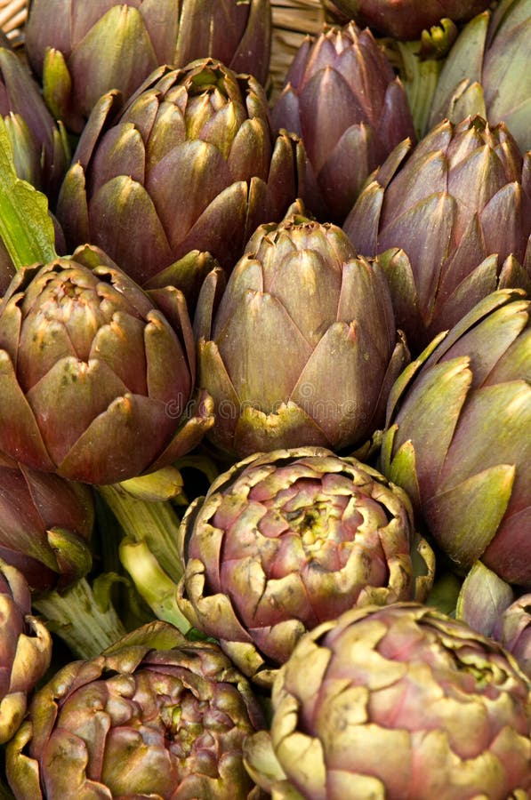 Artichokes