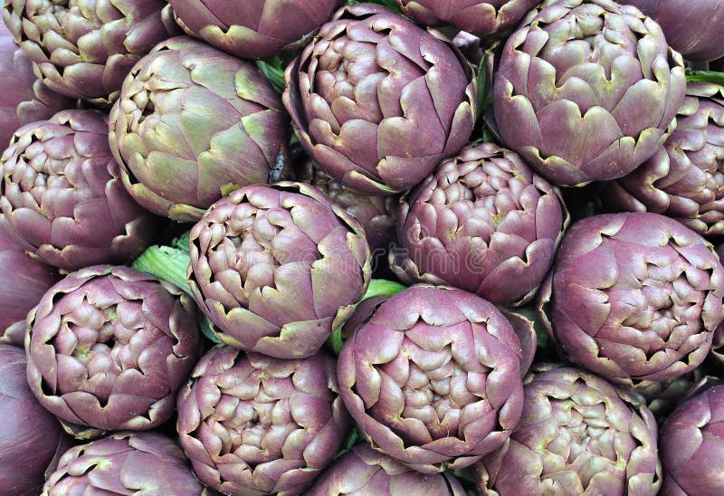 Artichokes of Roma, Italy