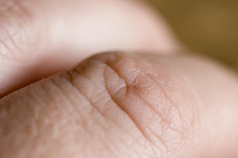 Macro of a human knuckle with shallow depth of field. Macro of a human knuckle with shallow depth of field