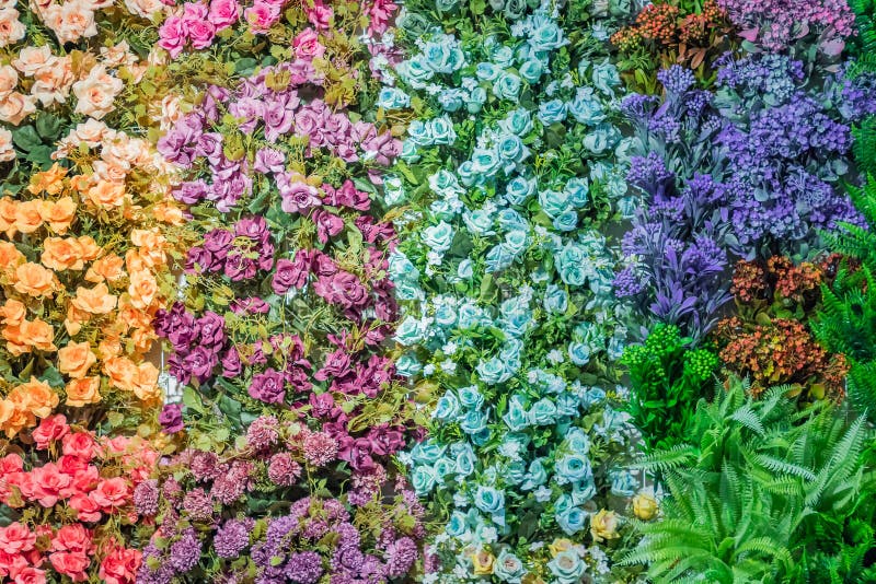 Artificial Blooming Roses of Orange, Blue and Pink Color Background