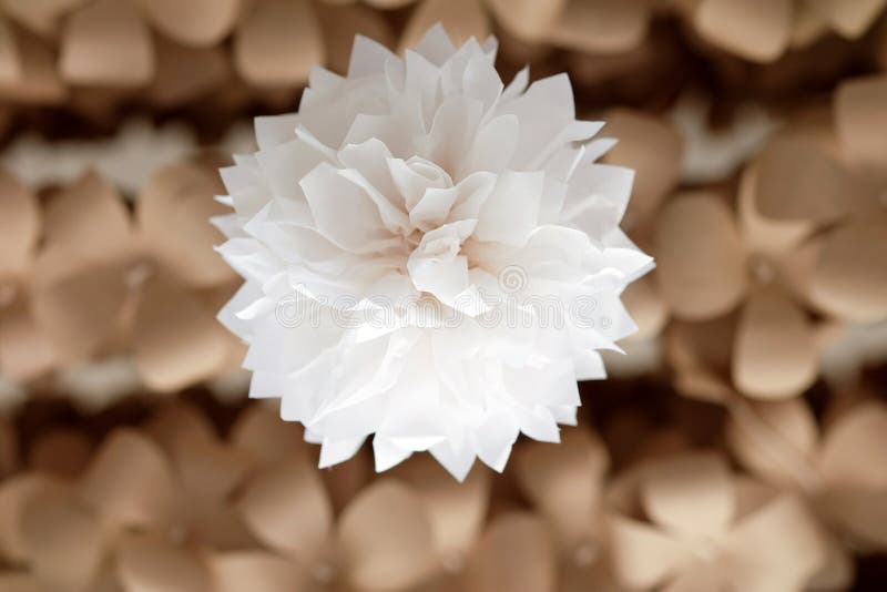 Artificial Flowers Made of Paper Stock Photo Image of decorative, craft 69708148