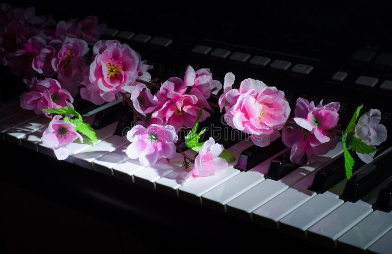 Artificial flowers. Music synthesizer royalty free stock photography Artificial flowers. Music synthesizer royalty free stock photography