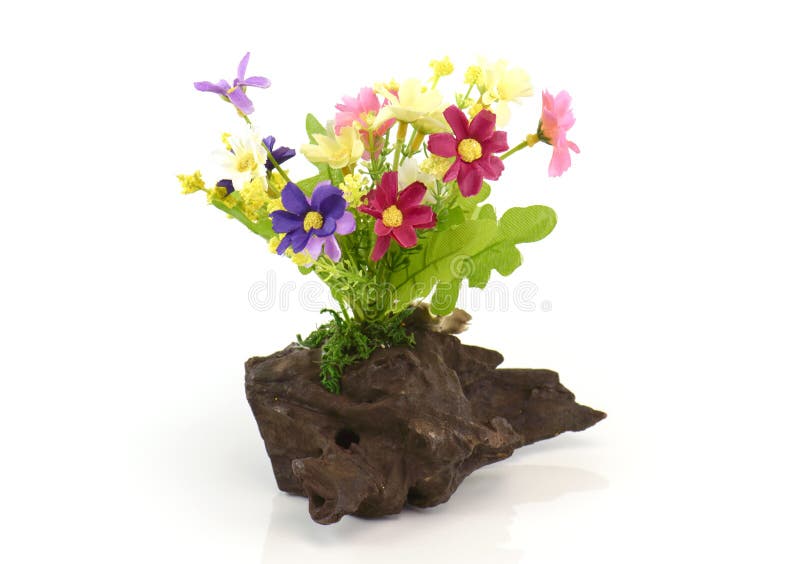 Artificial flowers on timber on white background