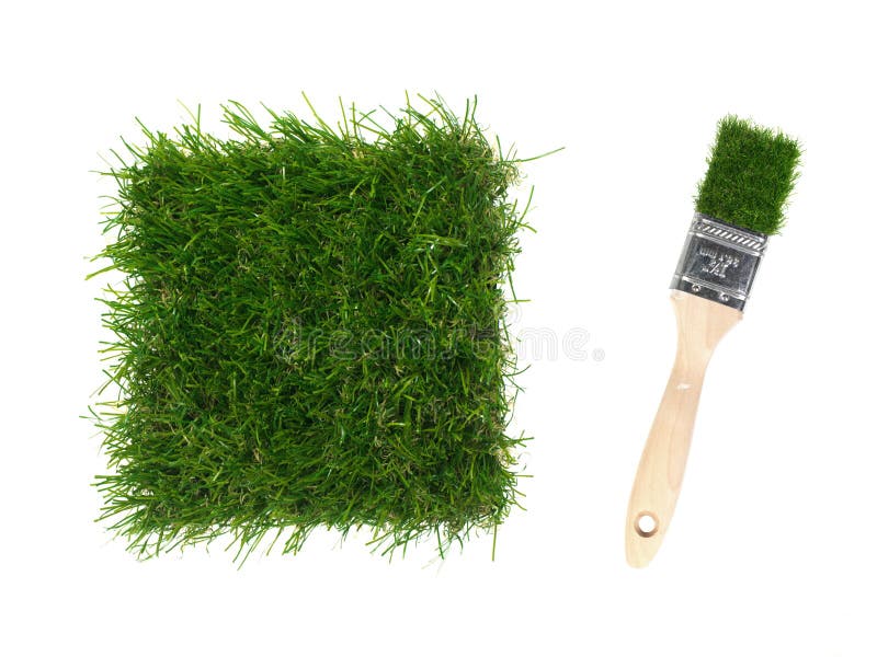 Artificial Grass