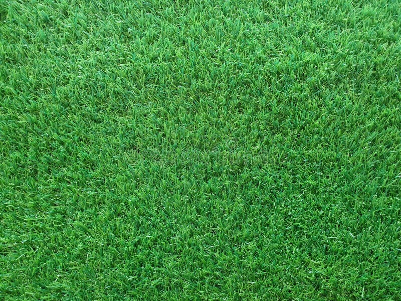 Artificial Grass Background with Copy Space Stock Image - Image of grassy,  background: 187336575