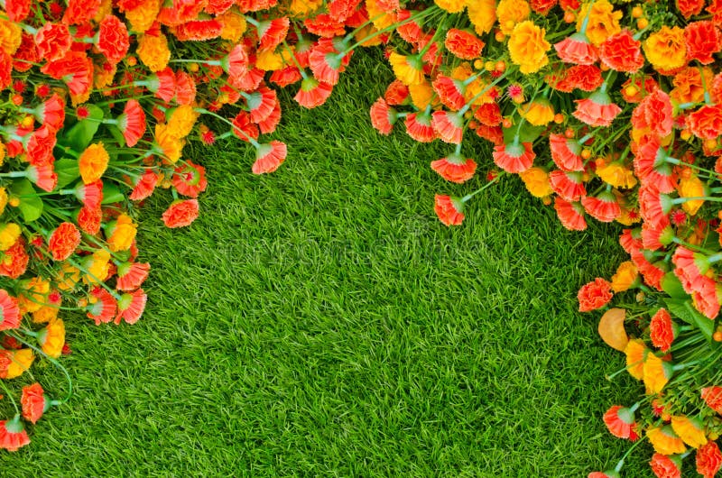Artificial Grass Field and Flowers Stock Image Image of home, grass