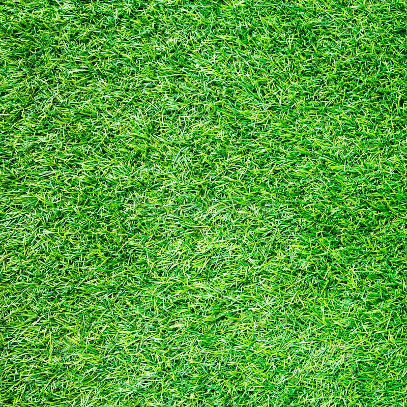 Artificial Grass Field Top View Texture