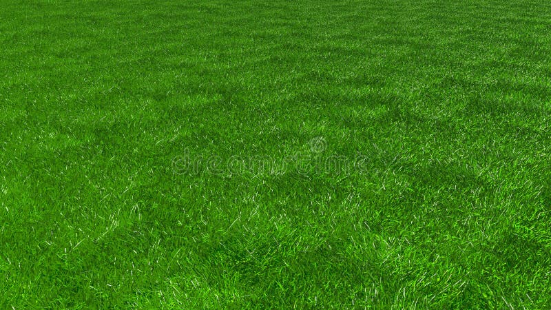 Artificial Grass, Texture of Green Grass, 3d Stock Illustration