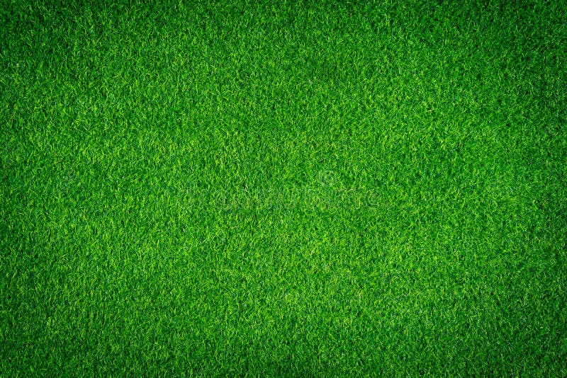 290,548 Grass Wallpaper Stock Photos - Free & Royalty-Free Stock Photos  from Dreamstime