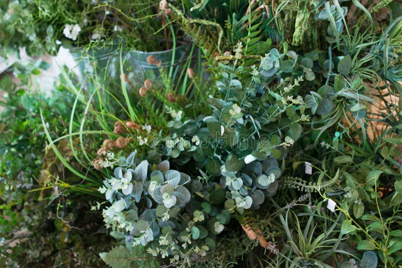 Artificial Green Flowers Realistic Look Fresh Flowers Stock Image