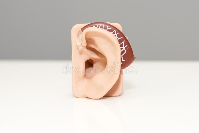 Artificial Human Ear Model with Hearing Aid on White Table. Plastic Ear
