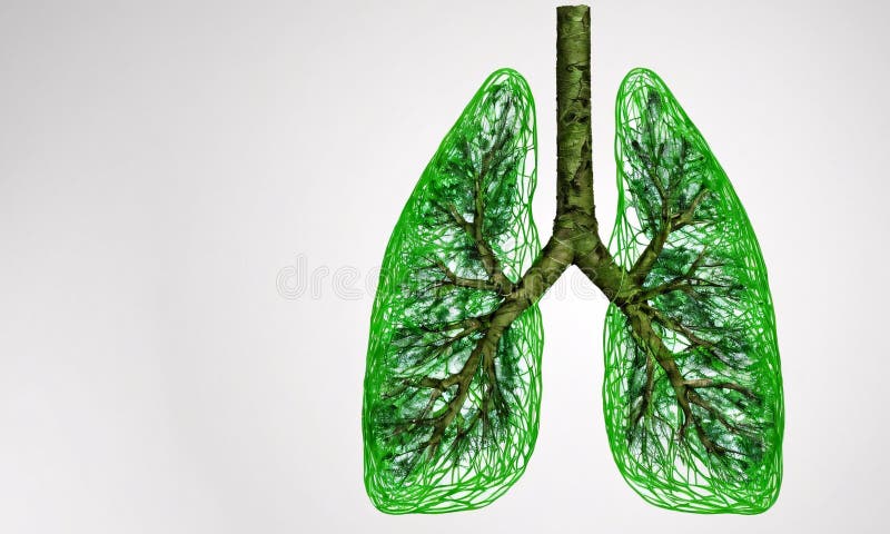 Artificial Intelligence. Lungs from trees on a white background. Artificial intelligence lungs stock images, royalty-free photos and pictures