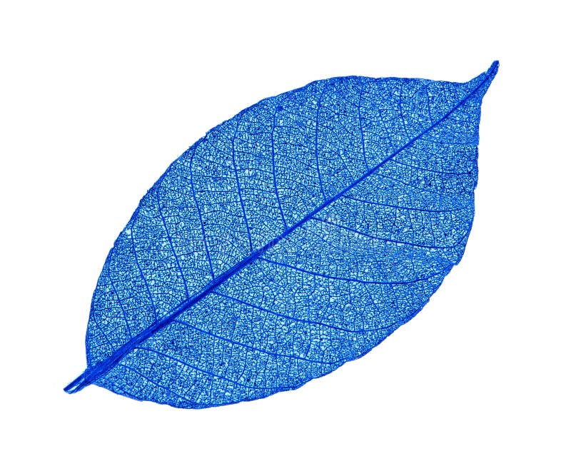 Artificial leaves stock image. Image of design, style 7302519