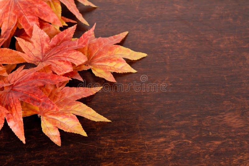 Artificial autumn maple leafs over old wood background.