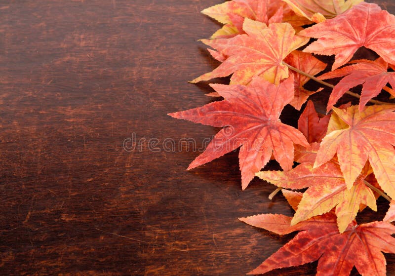 Artificial autumn maple leafs over old wood background.