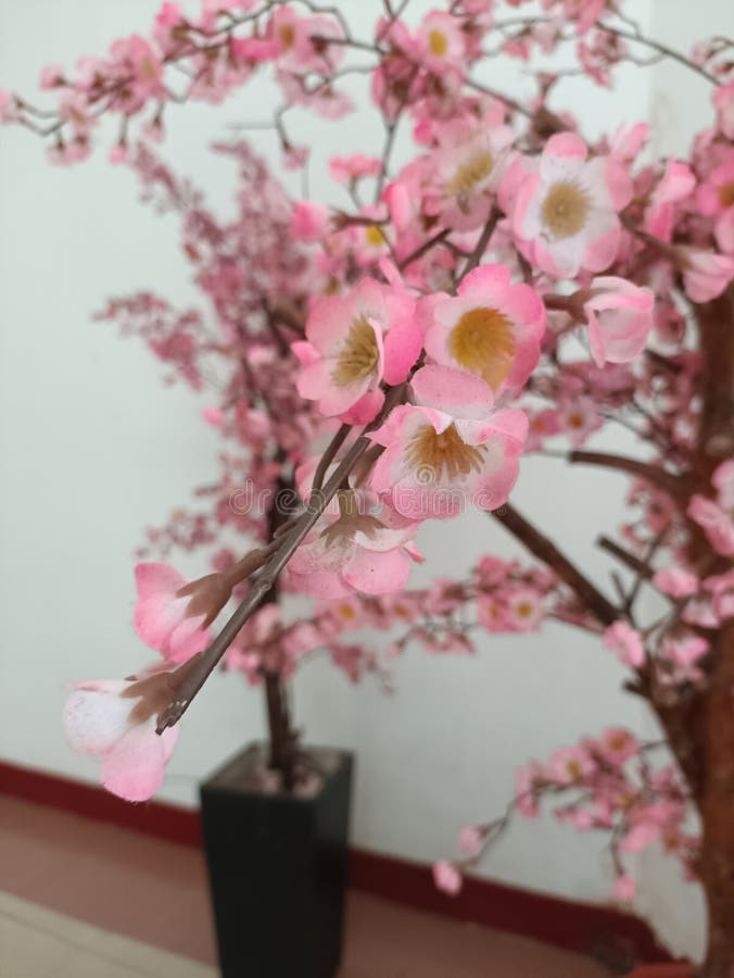 Artificial Paper Cherry Blossoms Complete with Stems and Branches Stock
