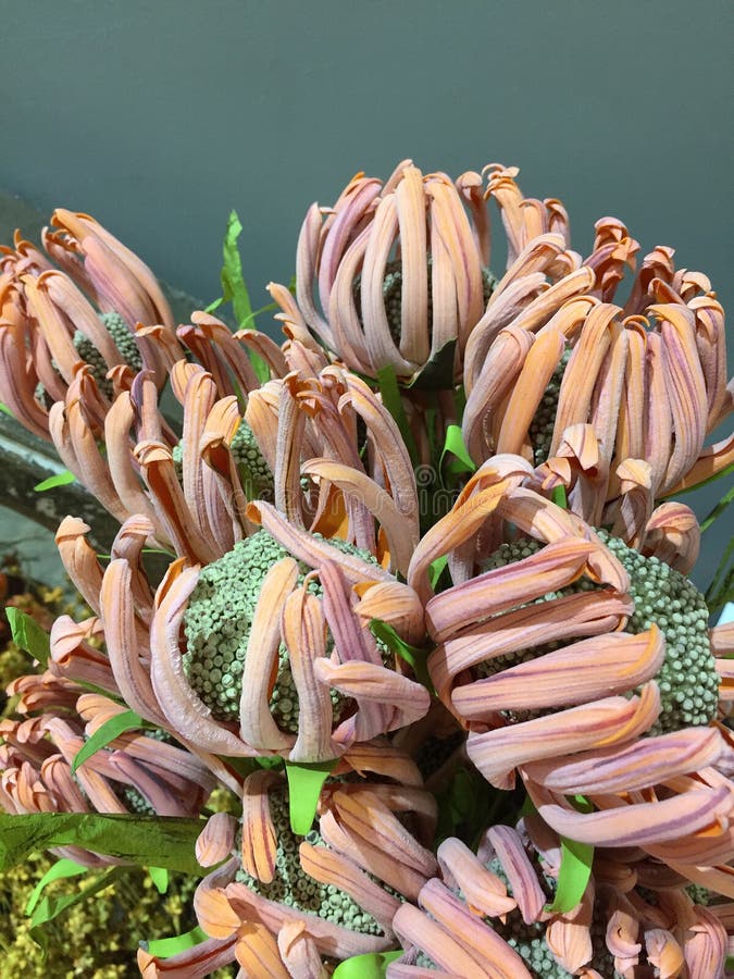 Artificial Pink Flowers As a Background in the Sun Stock Image Image