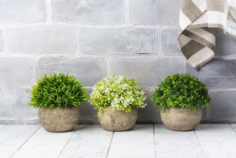 Artificial Plants in Stone Pots Stock Photo Image of outdoor, funny