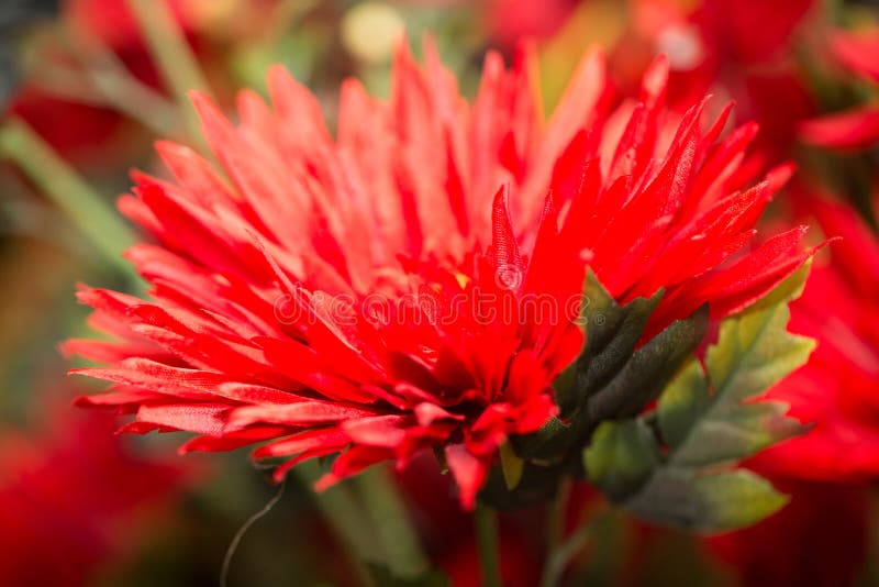 Artificial red flower stock image. Image of arrangement 102486805