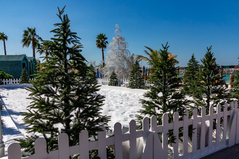 Artificial Snow and Christmas Trees at the Resort Winter and