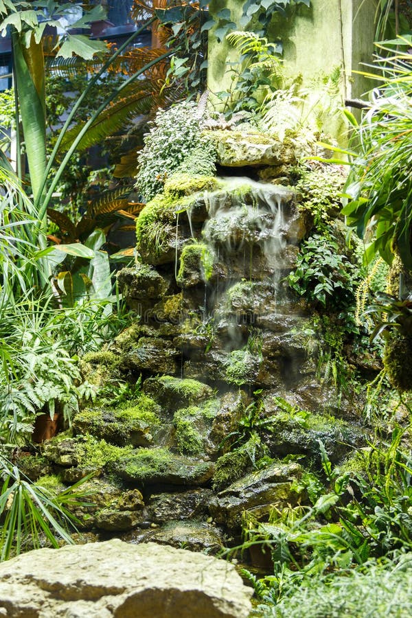 Artificial Stone Waterfall And Plants In Greenhouse Stock Photo Image