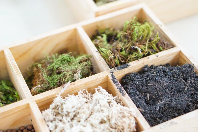 Artificial terrarium supply kit moss plant dirt decoration box. Artificial terrarium supply kits moss plant dirt decoration box royalty free stock image