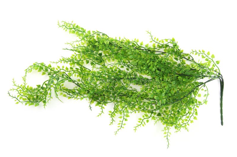 Artificial Tropical Vines Isolated on White Background. Stock Photo