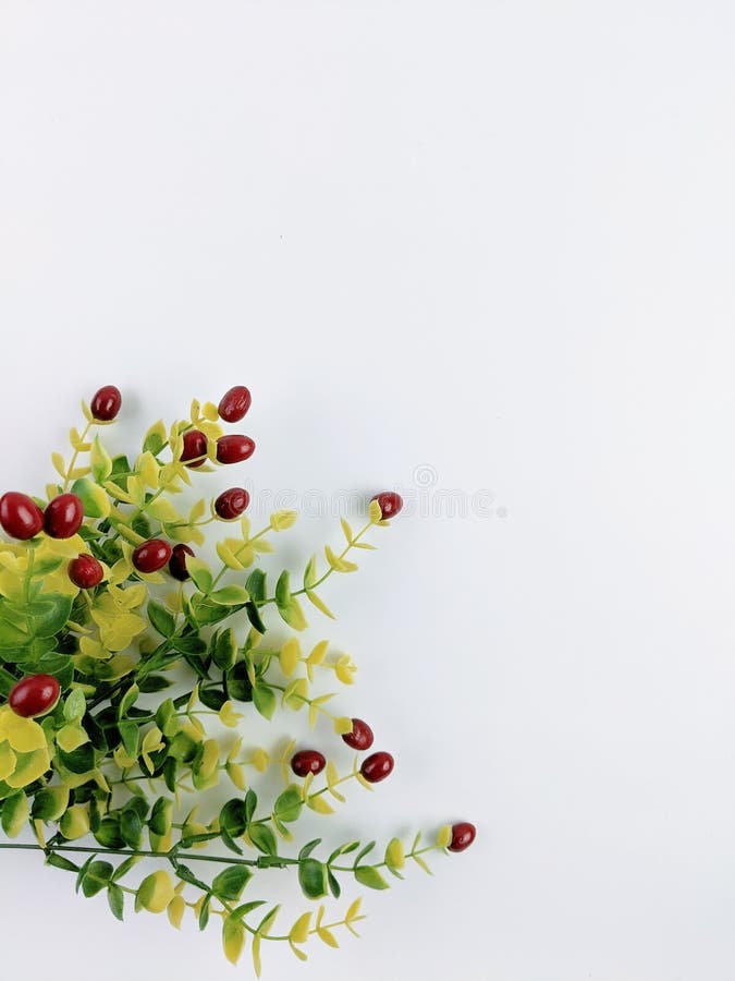 Artificial Flowers on a White Background Stock Image Image of plant, background 232104195