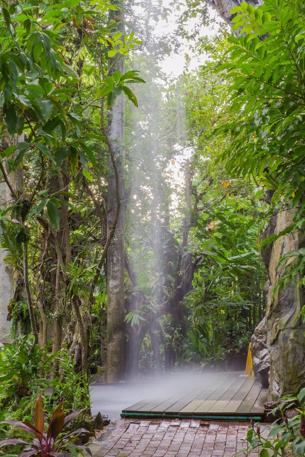 Artificial Waterfall In Botanic Garden Stock Photo Image of cool