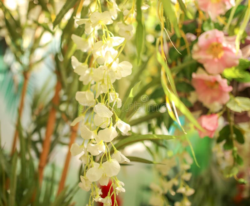 Artificial White Flowers in the Park Stock Image Image of design