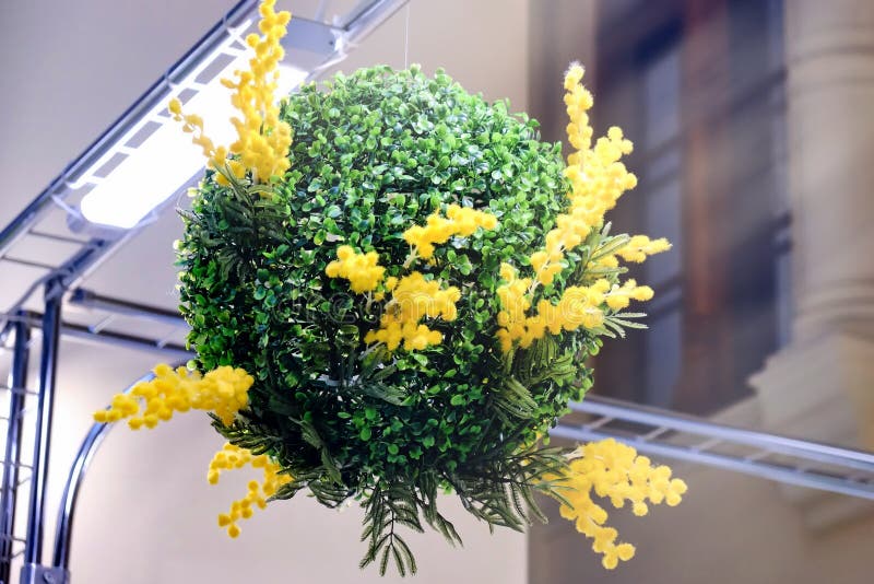 Artificial Yellow Flower in the Form of a Ball Stock Photo Image of