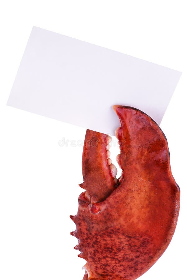Artiglio dell'aragosta immagini stock libere da diritti Artiglio dell'aragosta immagini stock libere da diritti