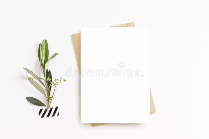 Artigos de papelaria femininos, cena do modelo do desktop Cartão, envelope vazios do ofício, fita do washi e com ramo de oliveira