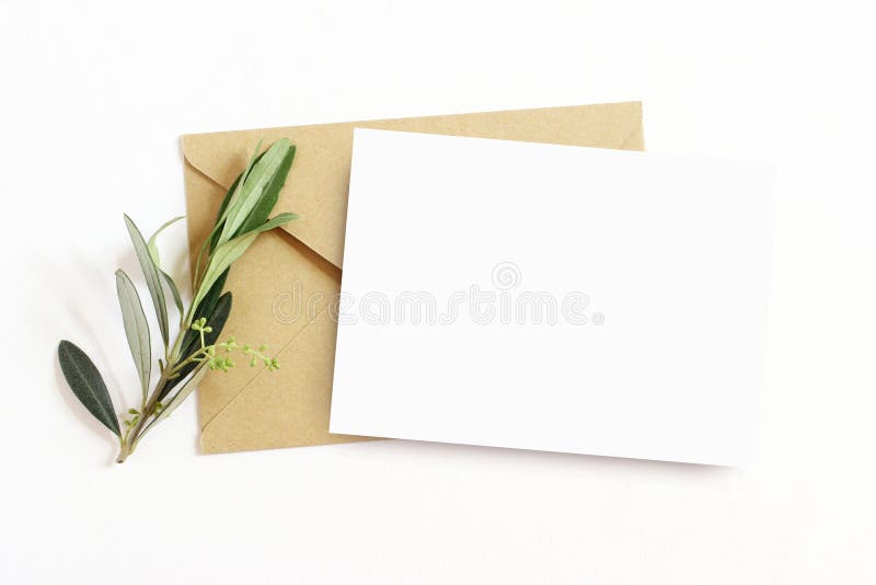 Artigos de papelaria femininos, cena do modelo do desktop Envelope vazio do cartão e do ofício com ramo de oliveira Tabela branca