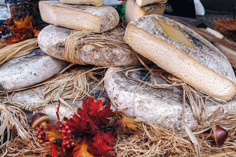 Artisan cheese on the stall in Alba, Italy. Rounds and pieces of artisan cheese on the stall at seasonal food market in Alba, Piedmont, Northern Italy