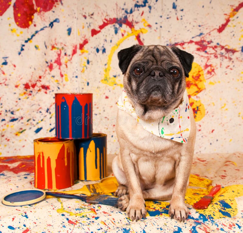 Artist Dog stock photo. Image of brush, doggy, dropcloth 19469202