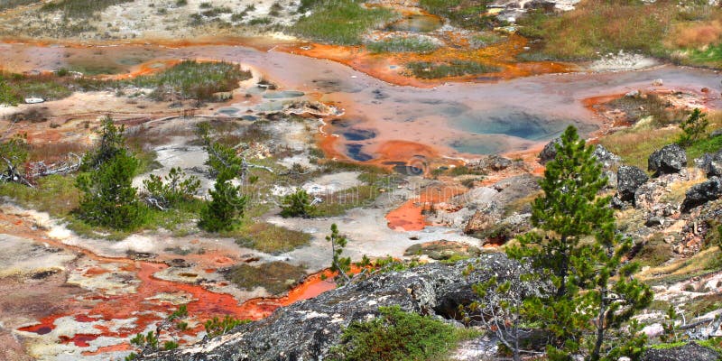 Artist Paint Pots - Yellowstone