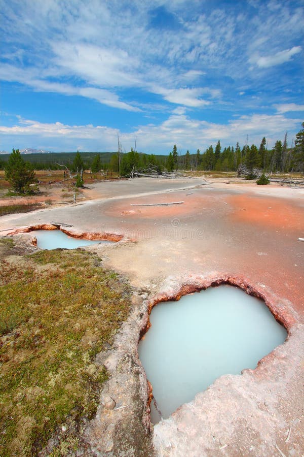 Artist Paint Pots - Yellowstone