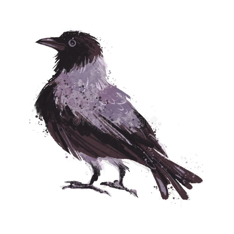 Artistic hand drawn watercolor illustration of black crow isolated. royalty free illustration