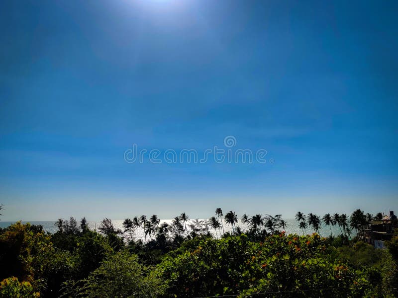 Artistic photo trees ocean and sky stock photo