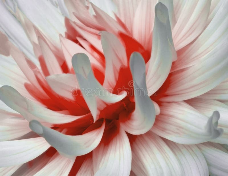 Artistic red flower background