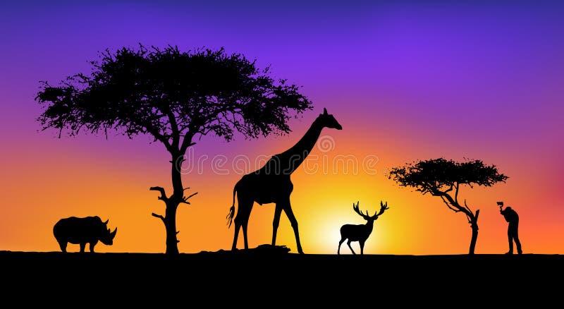 Artistic, a wild Animals vector illustration