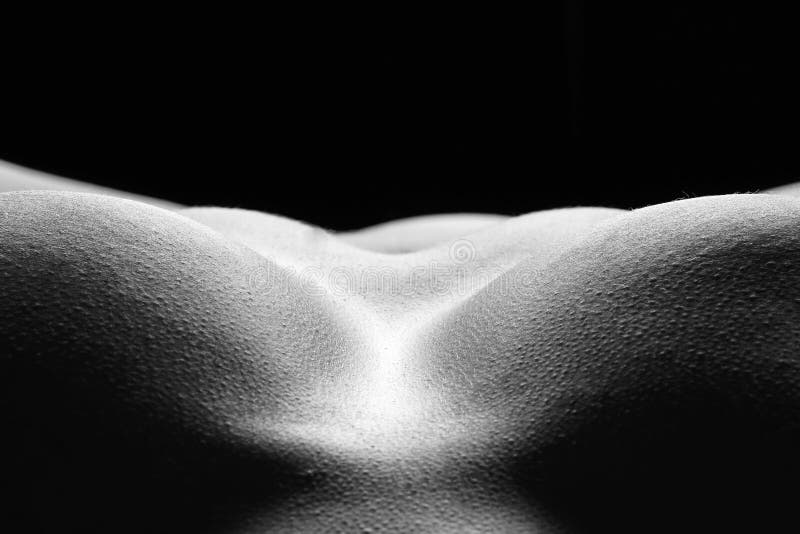 Artistic Woman Bodyscape 4 - Anatomy Artwork