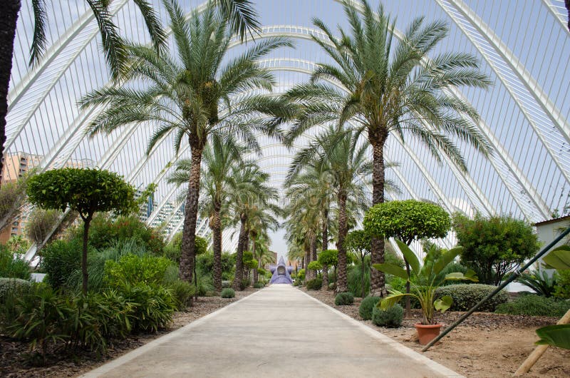 Arts and Science Center in Valencia Editorial Stock Image Image of