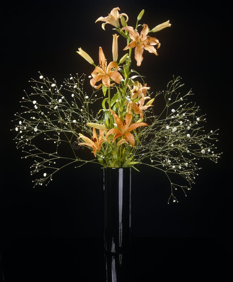 Arty Shot of Flowers in a Vase, Inside. Stock Image Image of inside