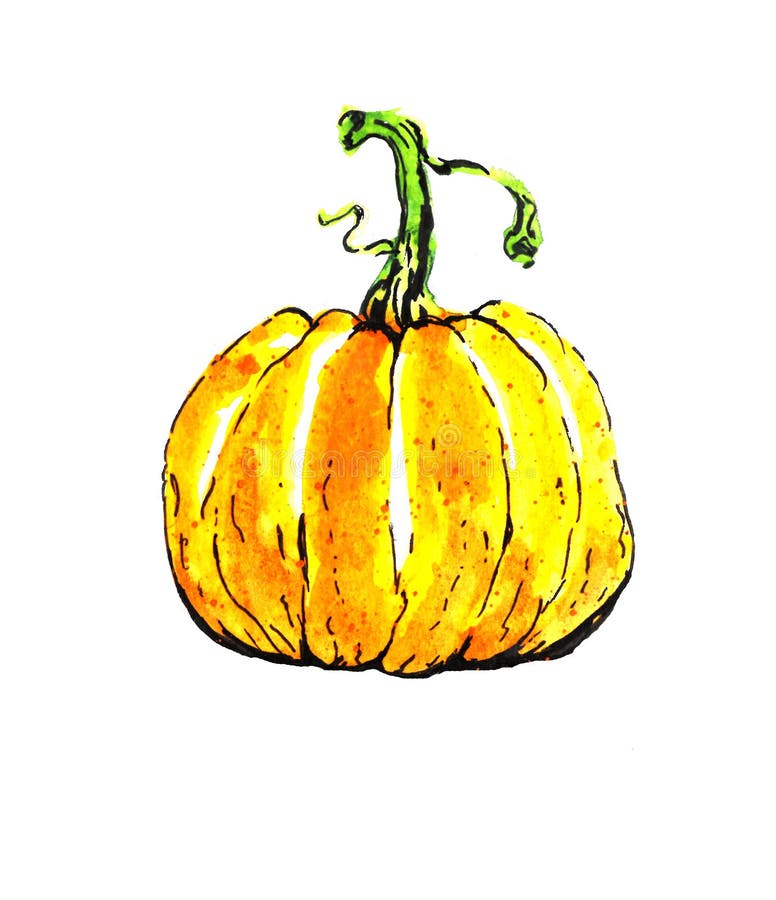 Artysta maluje akwarela obrazek pomarańczowa bania na białej księdze dla wakacje Halloween royalty ilustracja Artysta maluje akwarela obrazek pomarańczowa bania na białej księdze dla wakacje Halloween royalty ilustracja