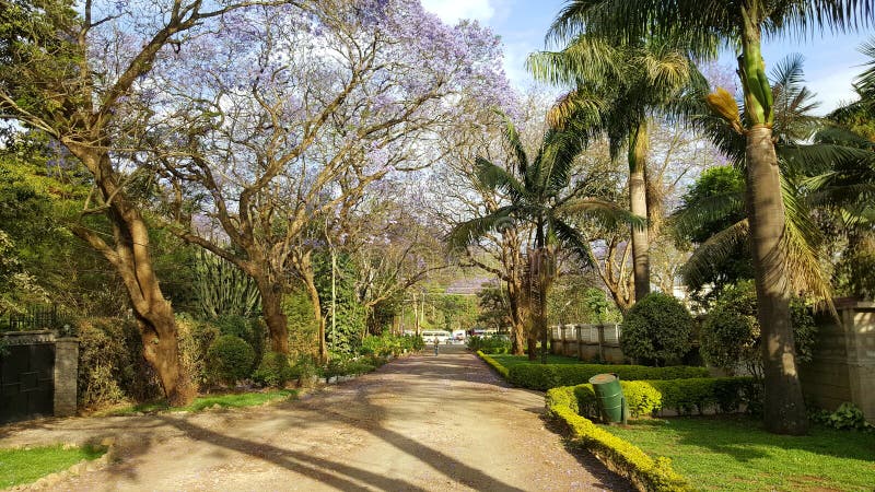 Arusha street in Tanzania, Africa