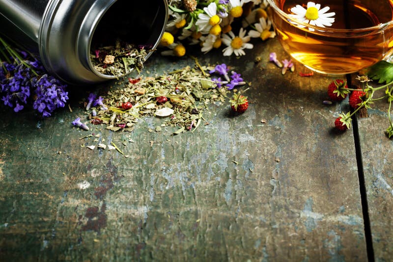 arvense杯子木贼属植物重点玻璃草本马尾注入naturopathy有选择性的茶 免版税库存图片 arvense杯子木贼属植物重点玻璃草本马尾注入naturopathy有选择性的茶 免版税库存图片